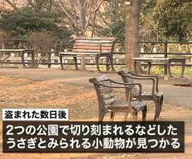 うさぎ盗んだ容疑で１９歳少女を逮捕　横浜