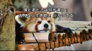 僕のこと / Mrs.GREEN APPLE by びぶらんくん