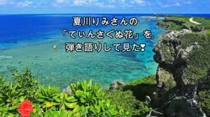 てぃんさぐぬ花 / 夏川りみ by びぶらんくん