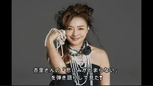 悲しみがとまらない / 杏里 by びぶらんくん