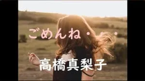 ごめんね・・・/ 高橋真梨子 Covered by びぶらくん