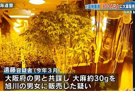 札幌国税局職員が栽培した大麻を販売