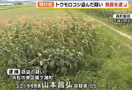 小学校教員が畑で野菜を盗む　静岡・浜松