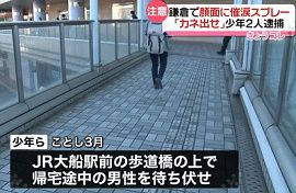 少年２人が催涙スプレーで強盗致傷　神奈川