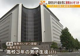 17歳高校生が9歳女児への強制わいせつ容疑　大阪