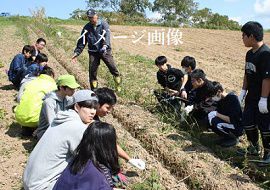 兵庫県立高校の事務長が農業実習で得られた収入を横領