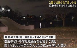 17歳少年が小学校校長刺して現金奪う　大阪