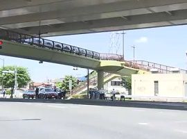 川口市の歩道橋で中３女子生徒が飛び降り自殺か