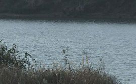 長良川でうつ伏せで浮いた男性の溺死体　岐阜