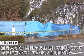公園で上半身に複数の傷がある男性遺体　神戸